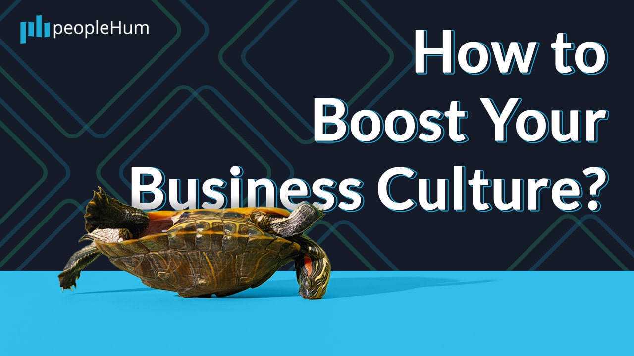How to Boost Your Business Culture?